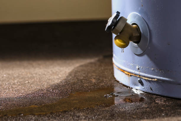 Best Sewage cleanup and water damage restoration  in Ormond By The Sea, FL