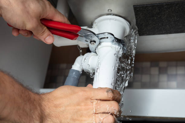 Best Mold removal after water damage  in Ormond By The Sea, FL