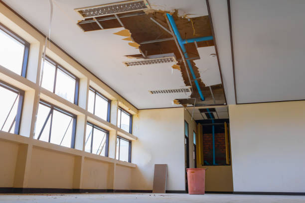 Best Water damage cleanup near me  in Ormond By The Sea, FL