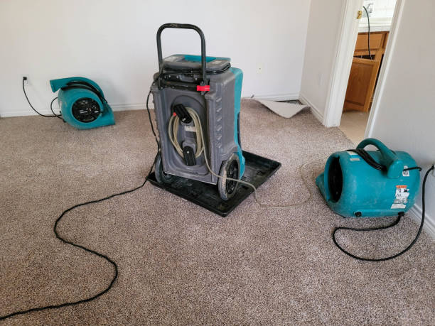 Best Ceiling water damage repair  in Ormond By The Sea, FL