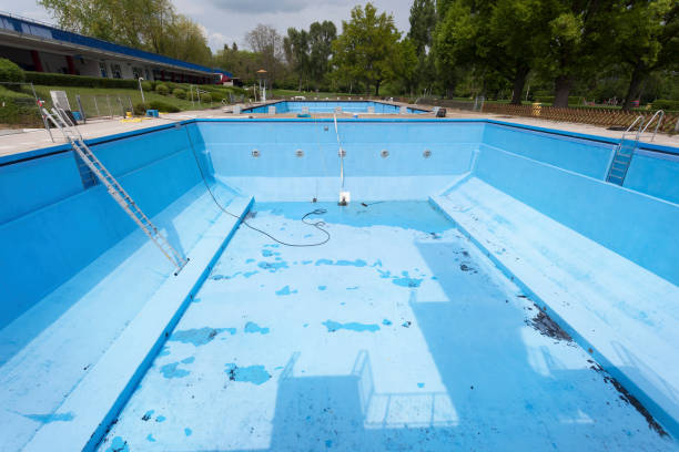 Best Water damage restoration process  in Ormond By The Sea, FL