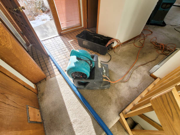 Best 24/7 water damage repair  in Ormond By The Sea, FL