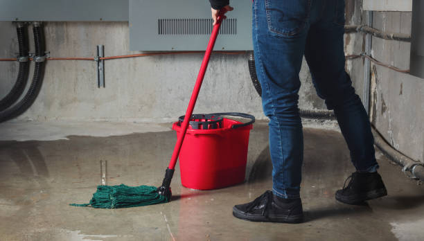 Best Water damage contractors near me  in Ormond By The Sea, FL