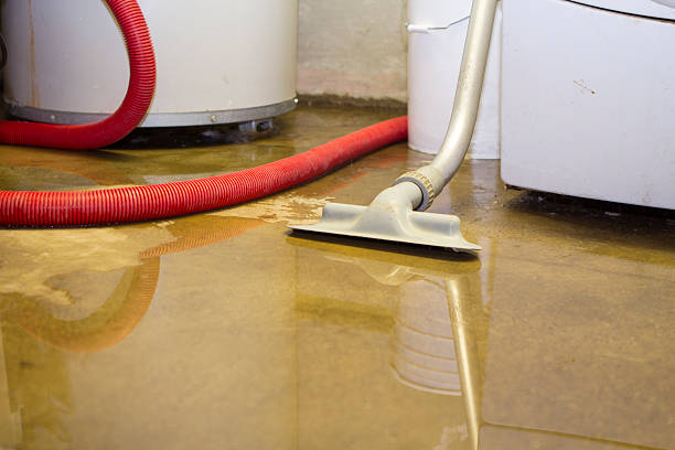 Best Flood damage cleanup  in Ormond By The Sea, FL