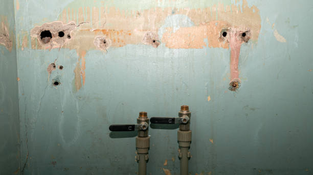 Trusted FL Water damage restoration Experts