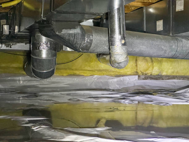 Best Fire Damage Restoration  in Ormond By The Sea, FL