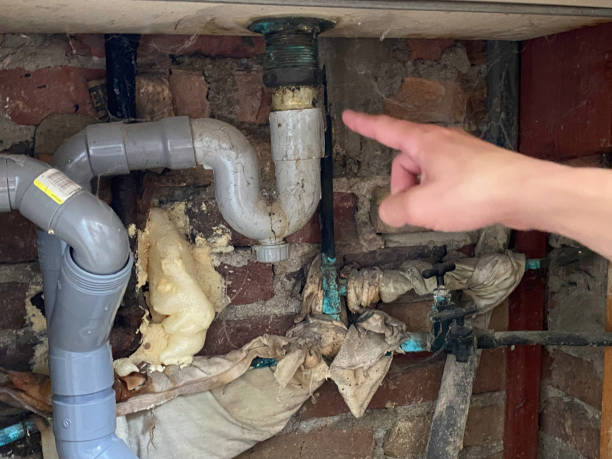 Best Flood restoration services  in Ormond By The Sea, FL