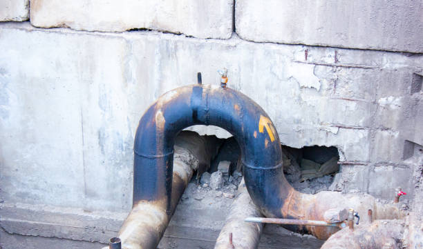 Best Professional water damage repair  in Ormond By The Sea, FL