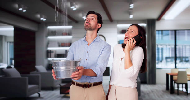 Best Flooded house restoration  in Ormond By The Sea, FL