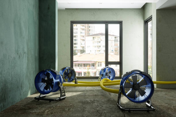 Water damage restoration mold remediation in FL